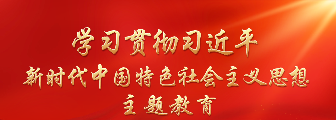 学习贯彻习近平新时代中国特色社会主义思想主题教育.png